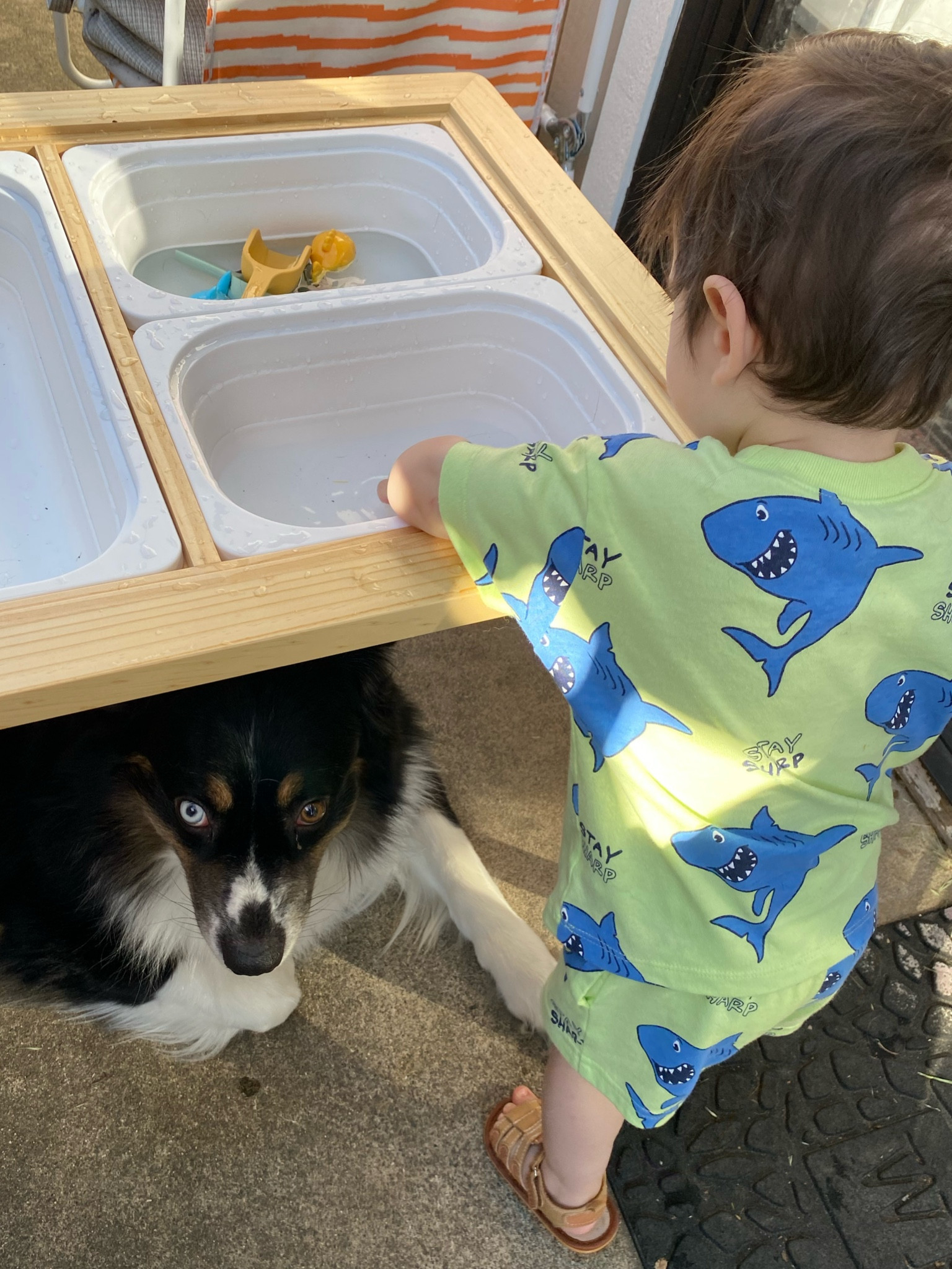 Loving his new sensory table! His outfit is less than $10 and comes in a ton of patters/colors! #walmart #sensorytable #amazon #summerfinds #summeractivities #outdooractivities #kidsgames #kidsummer #toddler 

#LTKfamily #LTKkids #LTKbaby