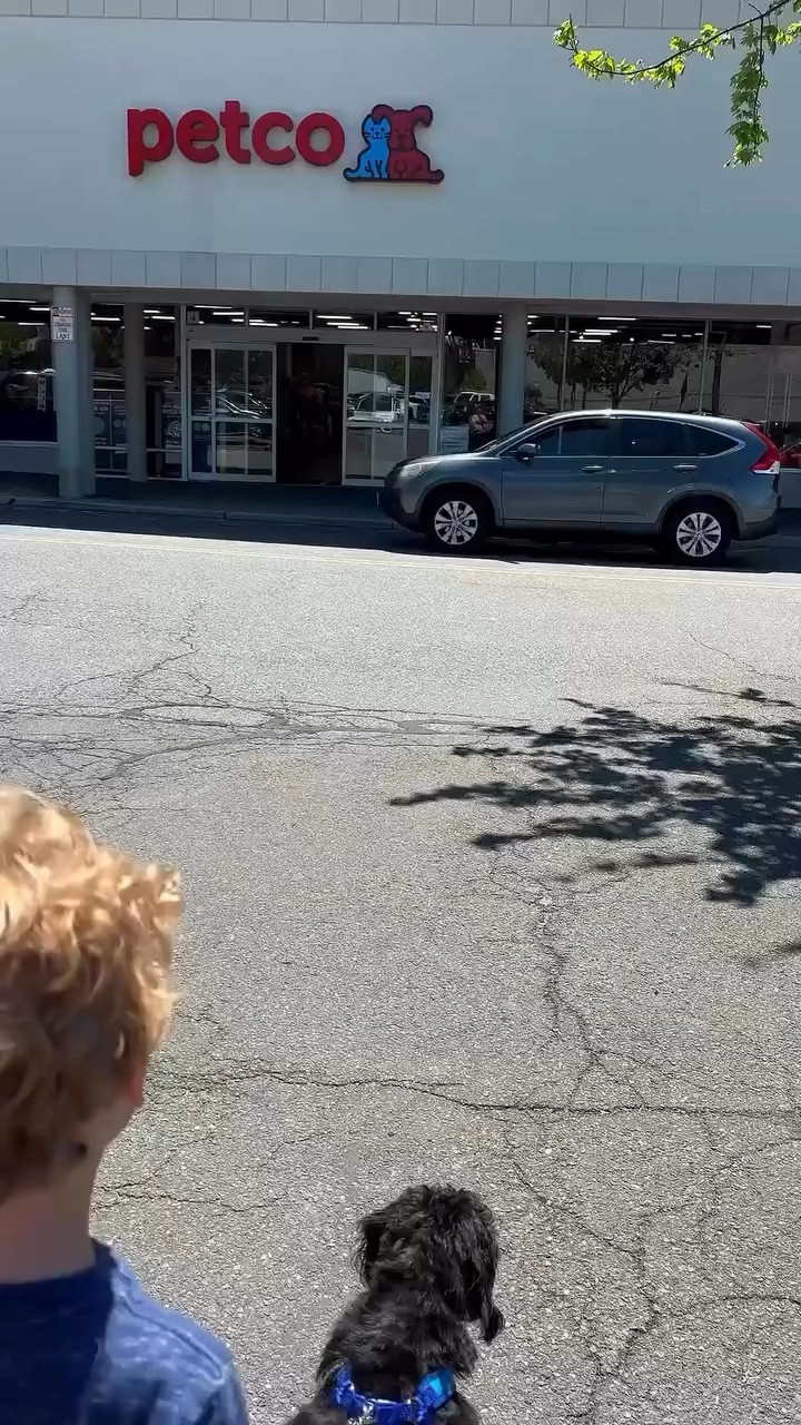 POV: your puppy’s spoiled… but at least you’re earning Raise Cashback on it 🐶🦴 

#ad @raise #cashback #petcoshopping #explorepage