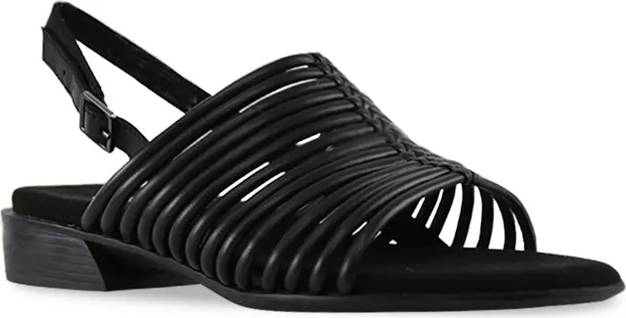 Celia Slingback Sandal (Women) | Nordstrom