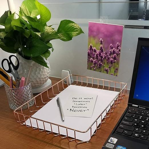 GRIDYMEN Desk Tray, Wire Metal Letter File Tray Organizer, Size 12.2” x 9.5” x 1.9”, Rose G... | Amazon (US)