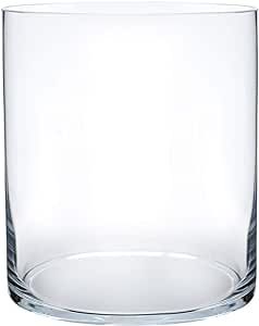 Royal Imports Flower Glass Vase Decorative Centerpiece for Home or Wedding - Cylinder Shape, 8" T... | Amazon (US)