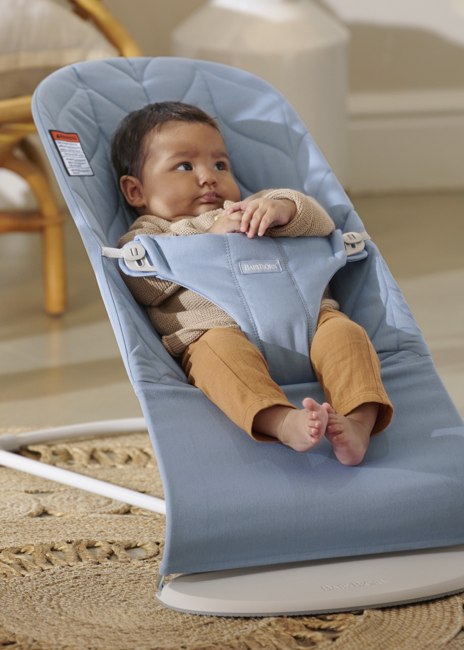 Bouncer Bliss | BabyBjorn