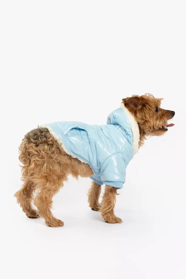 Silver Paw Dog Hooded Puffer Jacket | Urban Outfitters (US and RoW)