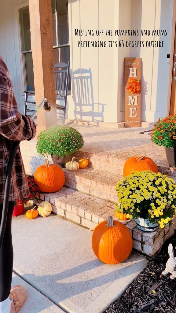 Dreaming of chilly nights and fresh mums on the porch ✨🍂☕️🍁

#LTKHome #LTKSeasonal #LTKdayinmylife