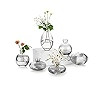 Bud Vases Glass EylKoi Mordern - 4sets(12Pcs) Clear Small Vases for Centerpieces, Small Vase Mini... | Amazon (UK)