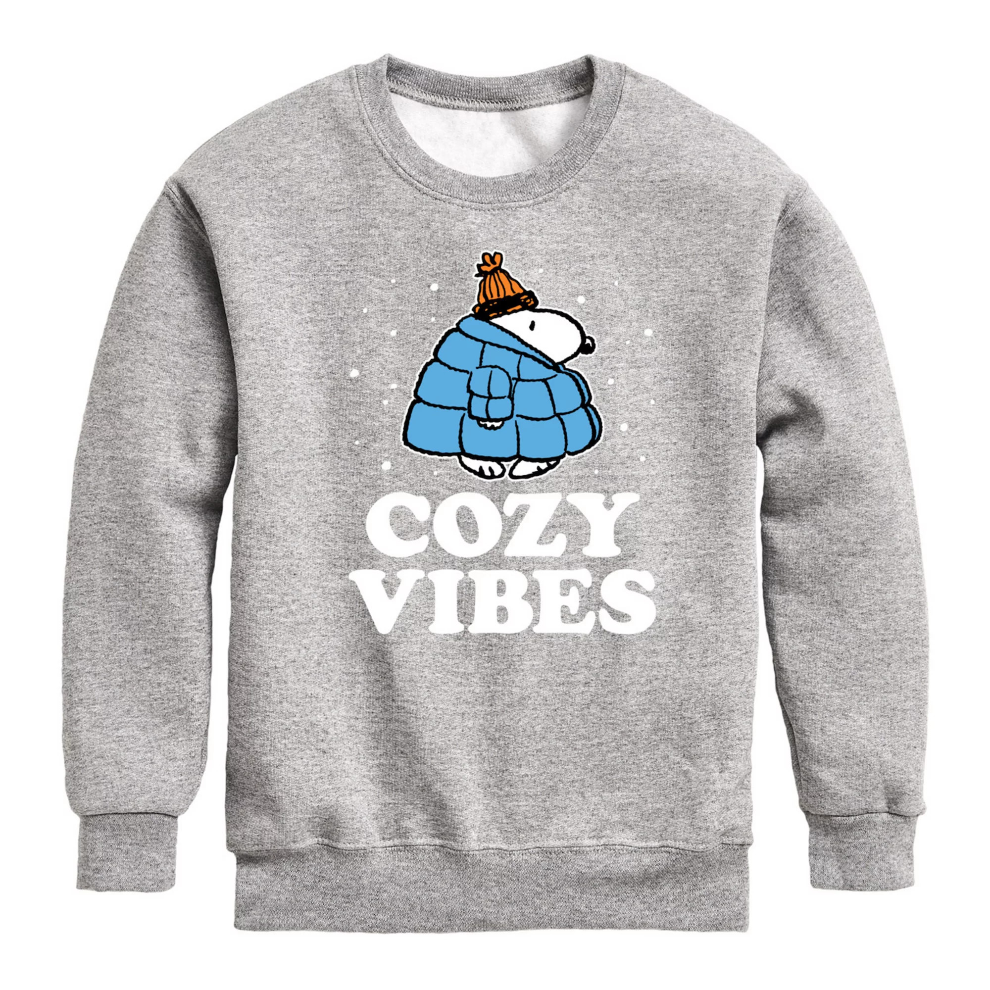Boys 8-20 Peanuts Cozy Vibes Snoopy Fleece Sweatshirt | Kohl's