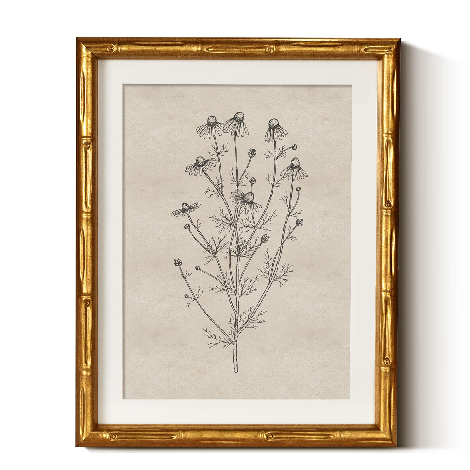 InSimSea Gold Bamboo Framed Canvas Wall Art, Minimalist Chamomile Botanical Paintings, Antique Vi... | Amazon (US)