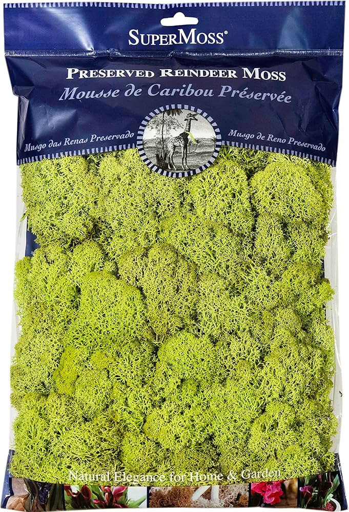 Super Moss 21669 Reindeer Moss Preserved, Chartreuse, 8oz (200 cubic inch) | Amazon (US)