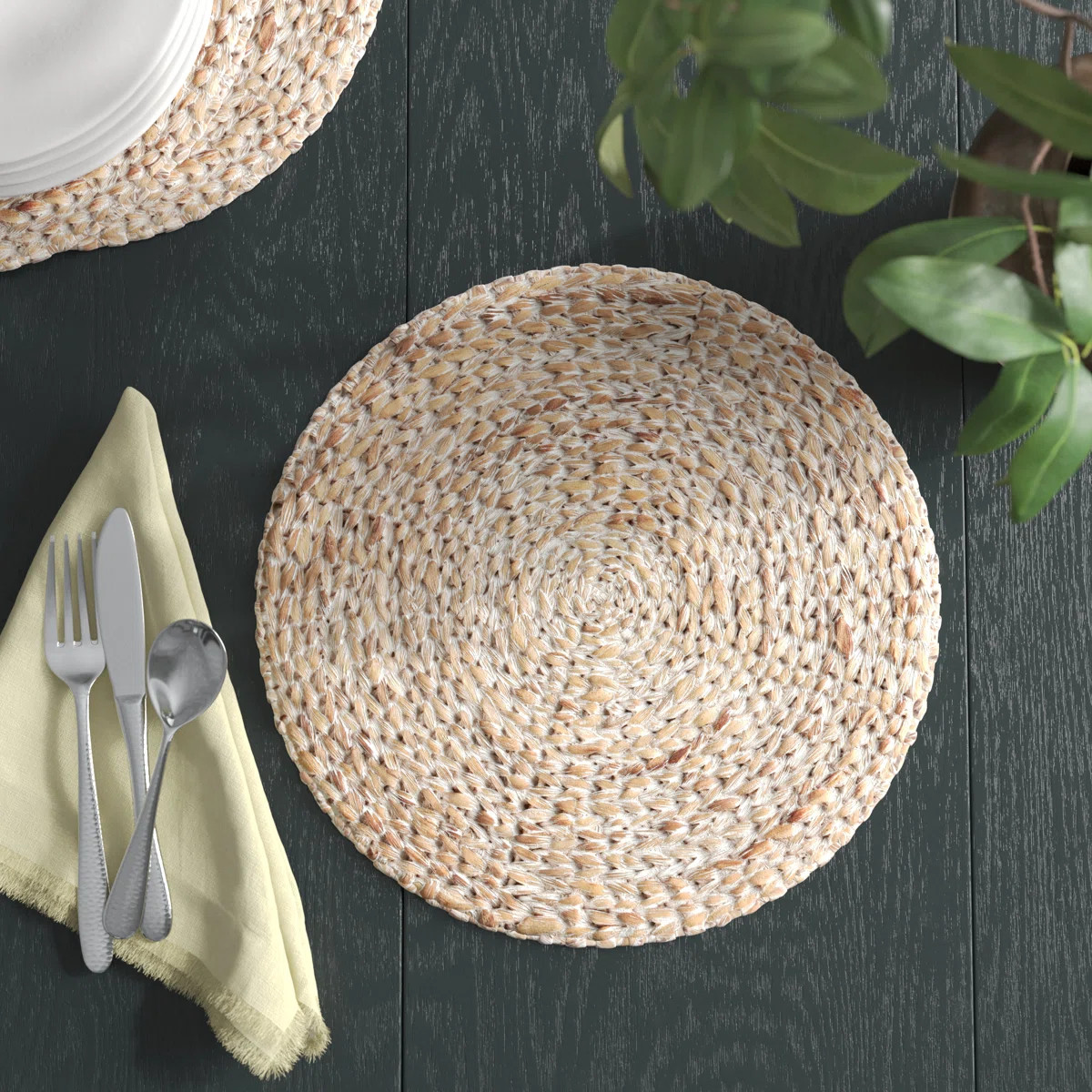 Nonnie Jute Round Placemat (Set of 4) | Wayfair North America