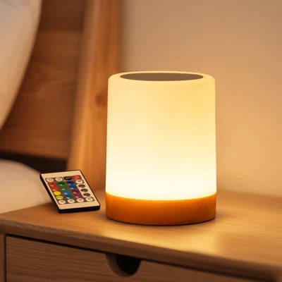 Touch Nightlight Table Lamp | Wayfair North America
