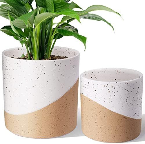 JOFAMY Ceramic Plant Pots, 2 Set Flower Pots 5.4/4.3 Inch with Drainage, Double Color Glazed Spec... | Amazon (US)