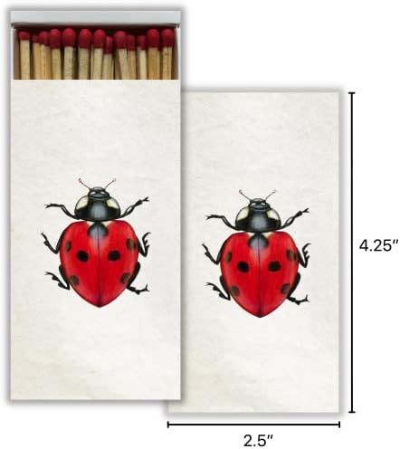 Little Ladybug Decorative Matchbox with Wooden Matches - Great for Lighting Candles, Fireplaces, Gri | Amazon (US)