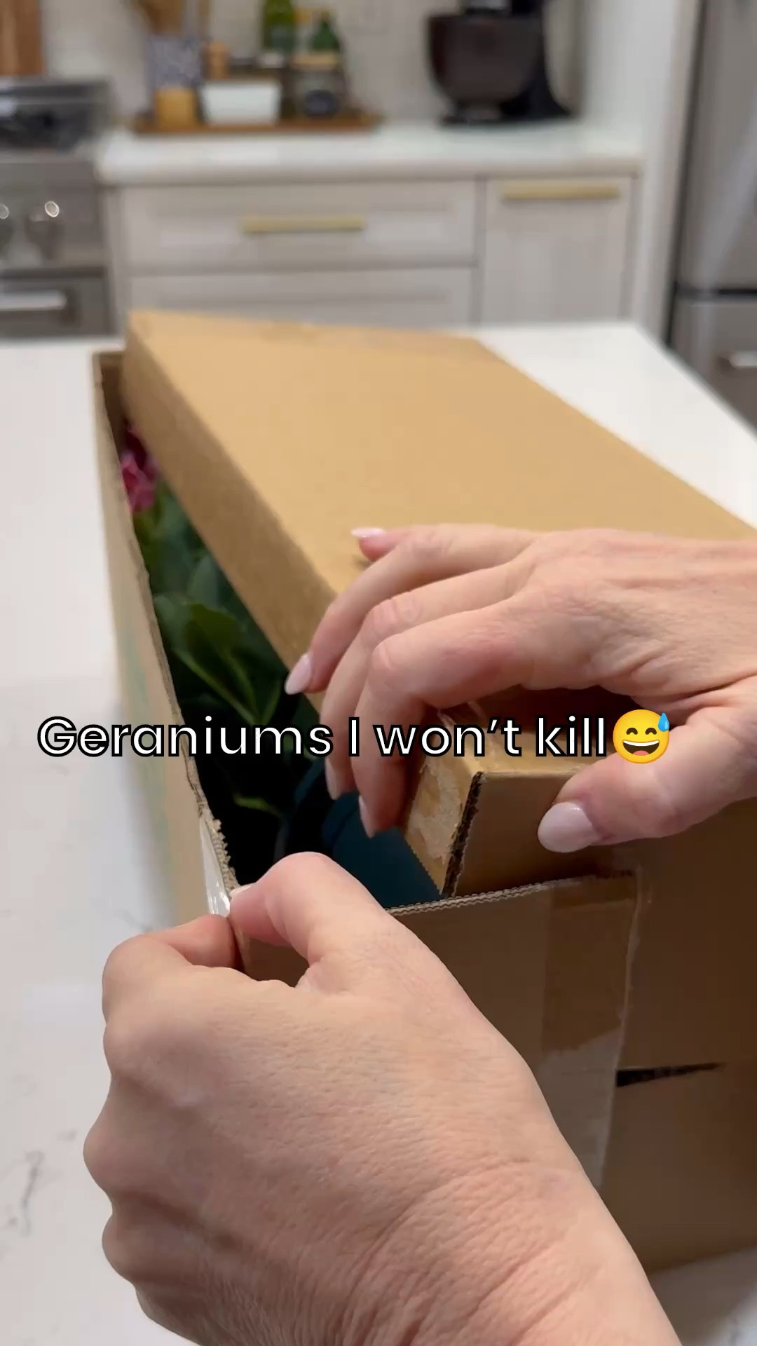 I love faux stems, but this is the first time I've tried potted artificial flowers. These pink geraniums are gorgeous! I love the fullness of them  They also come in red. The planter you use is just as important in elevating the look of the flowers, like this rattan planter basket.🌿🌺🧺

Spring refresh
#fauxflowers #artificialflowers #fauxgeraniums

#LTKHome #LTKSeasonal