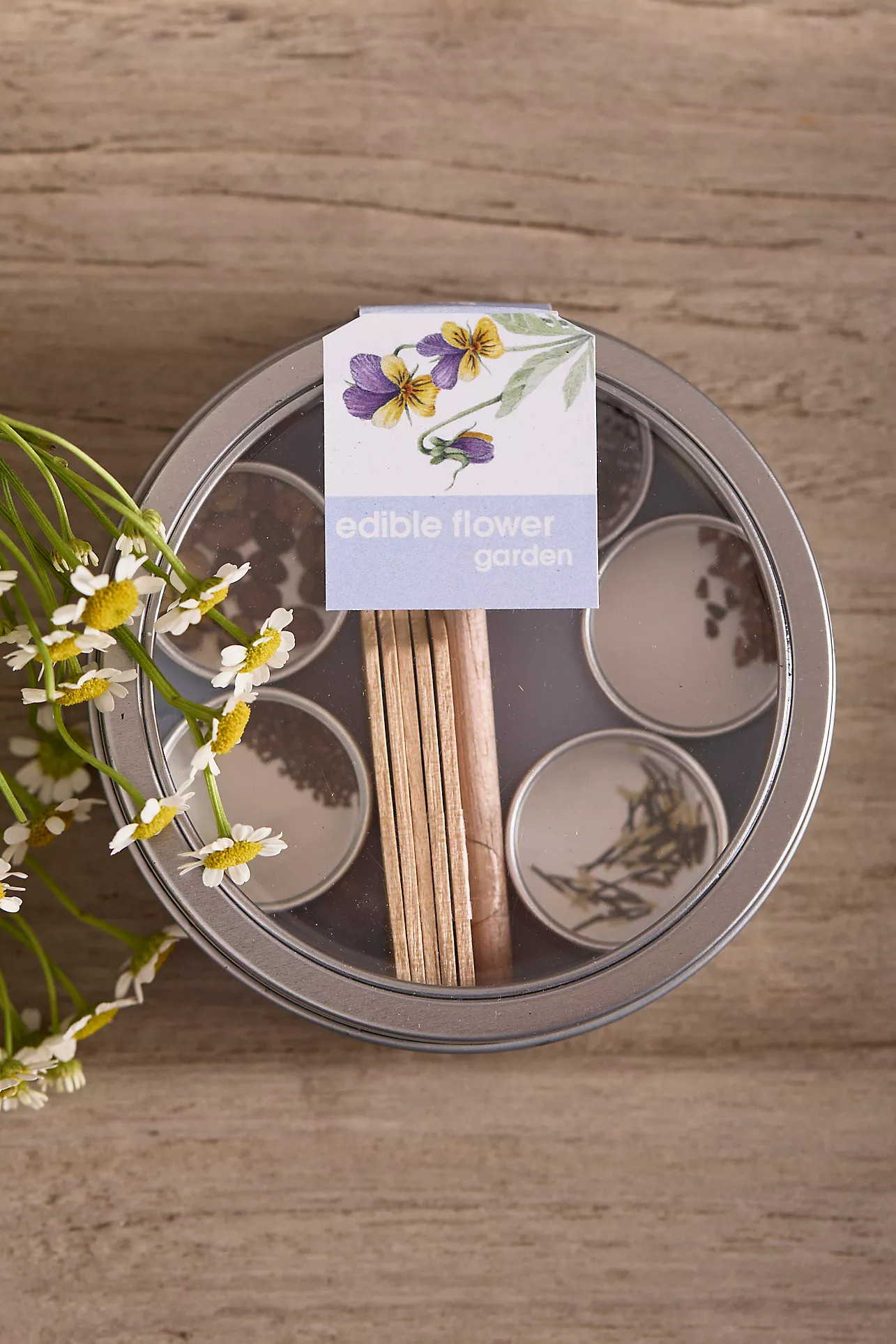 Edible Flower Garden Seed Kit | Anthropologie (US)