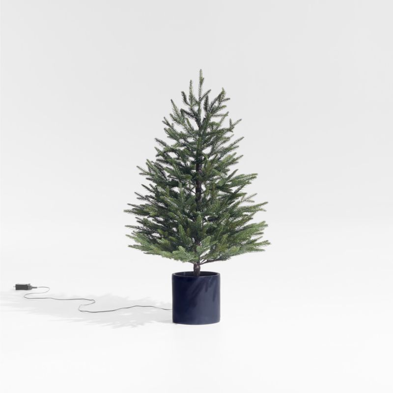 Faux Potted Norway Spruce Pre-Lit LED Tree with White Lights 3' + Reviews | Crate & Barrel | Crate & Barrel