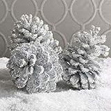 K&K Interiors 51428B-WH Box of 12 White Glitter Pinecones | Amazon (US)