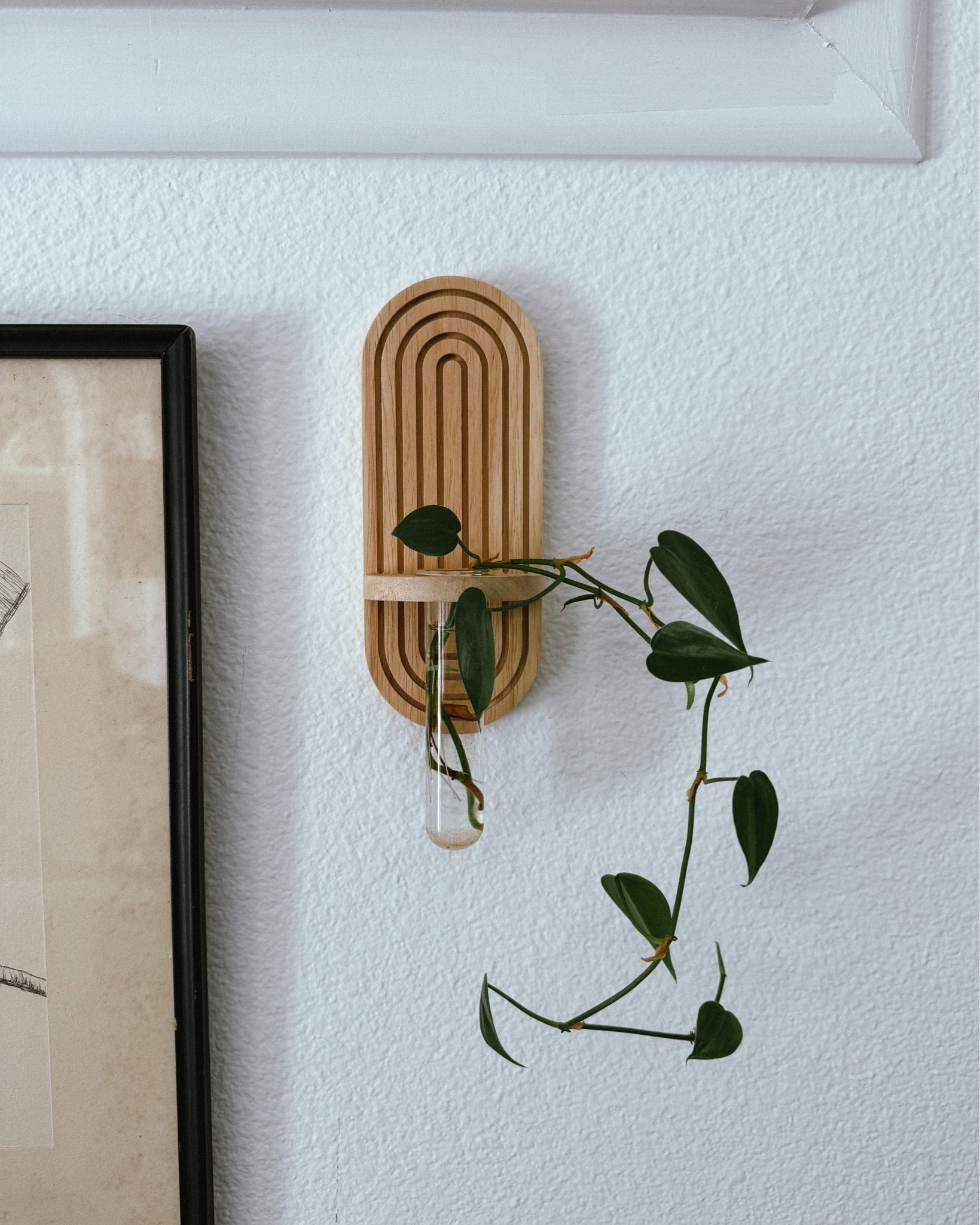 New hanging wall propagation vases!

#LTKHome