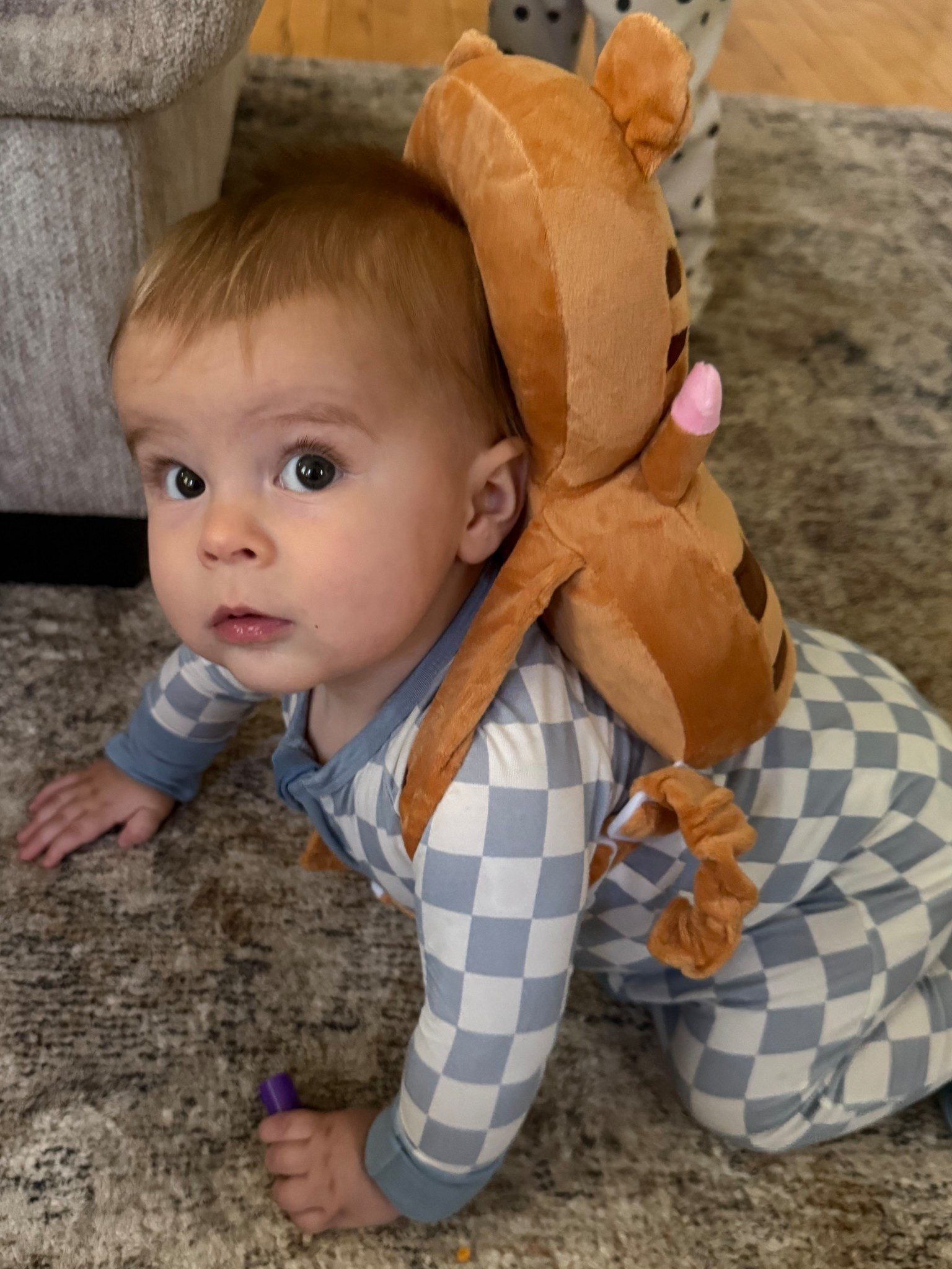 Baby head protector to save us both 😂

#LTKBaby #LTKdayinmylife #LTKmomlife