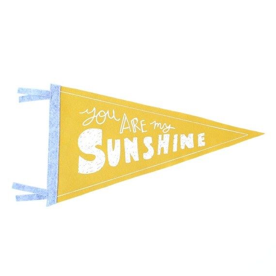 You Are My Sunshine Wool Pennant Flag, Wall Hanging, Gift for Baby, Room Decor, Vintage Camping, Art | Etsy (US)