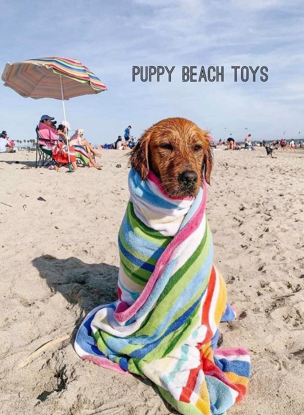 Pawsome beach toys for your furry friend!

#LTKdayinmylife #LTKxMadewell #LTKBaby