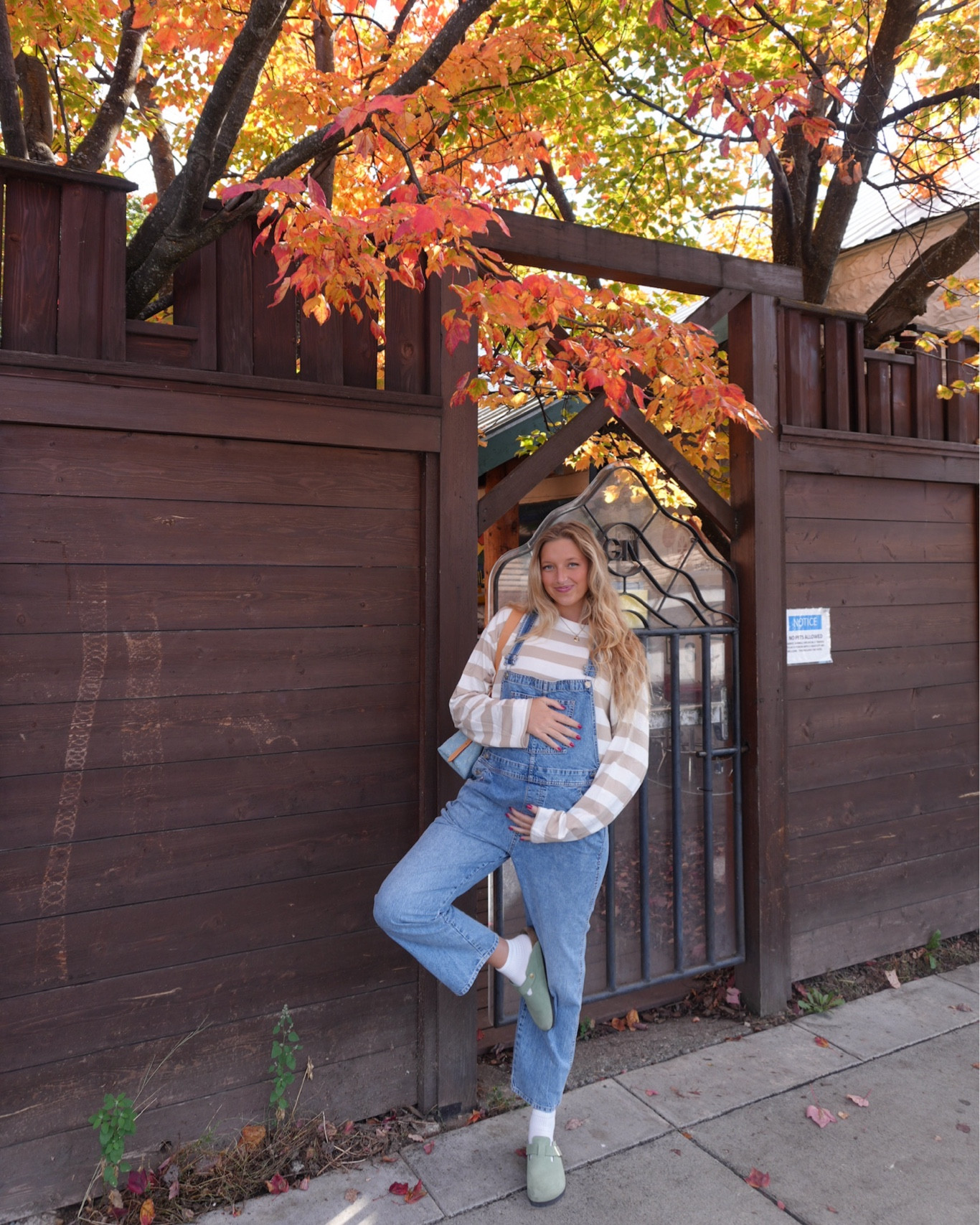 So thankful for chilly weather outfits🍂✨

fall outfit, denim overalls, sweater, maternity overalls, Birkenstock Boston 

#LTKTravel #LTKSeasonal #LTKBump