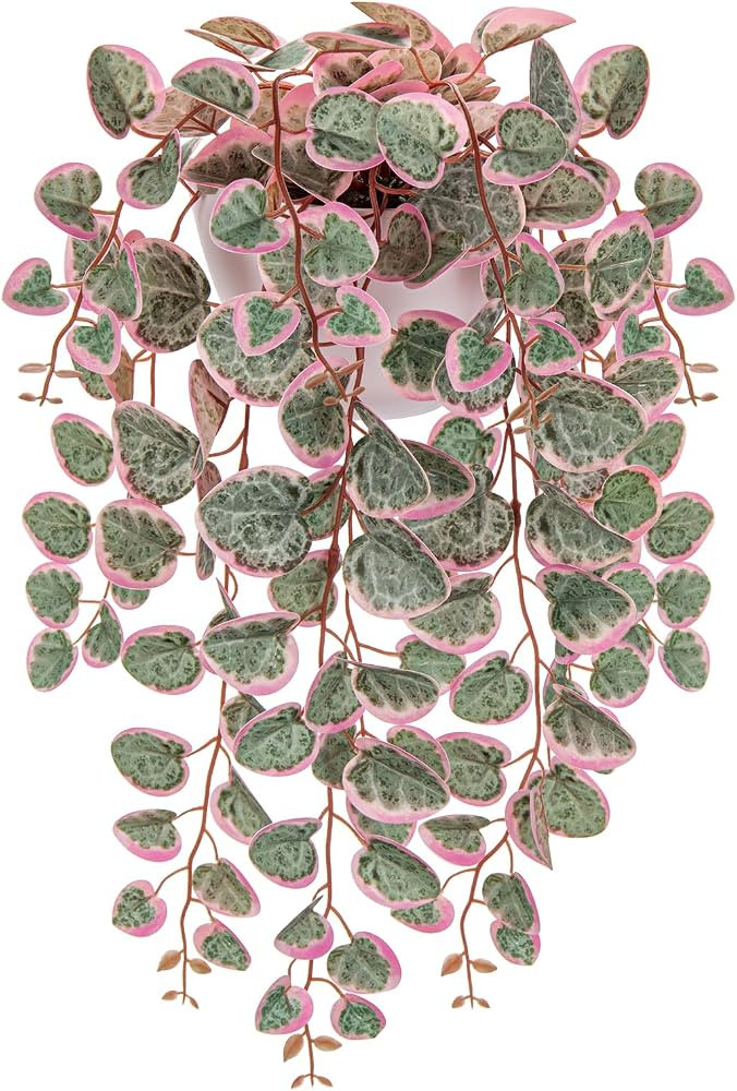 Briful Faux Hanging Plants 17'' Artificial String of Heart Vines with Semicircle Wall Mount Plant... | Amazon (US)