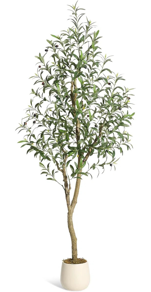 72cm Plant | Wayfair UK