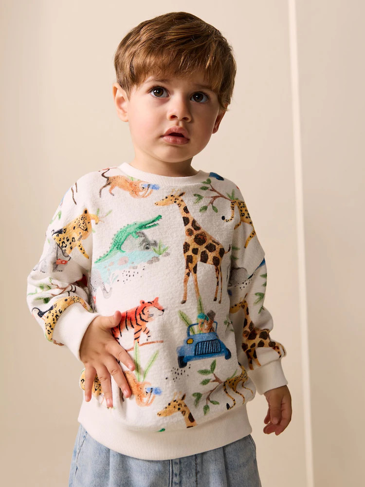Watercolour Animals All-Over Print Crew Neck Sweatshirt (3mths-7yrs) | Next US