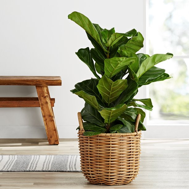 Better Homes & Gardens 12 IN Everly Resin Rattan Planter (light Brown) - Walmart.com | Walmart (US)