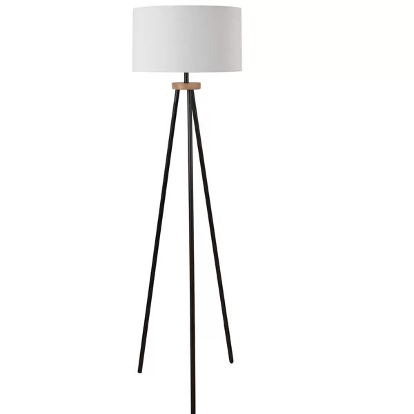 David-Nelson Retro 62" Tripod Floor Lamp | Wayfair North America