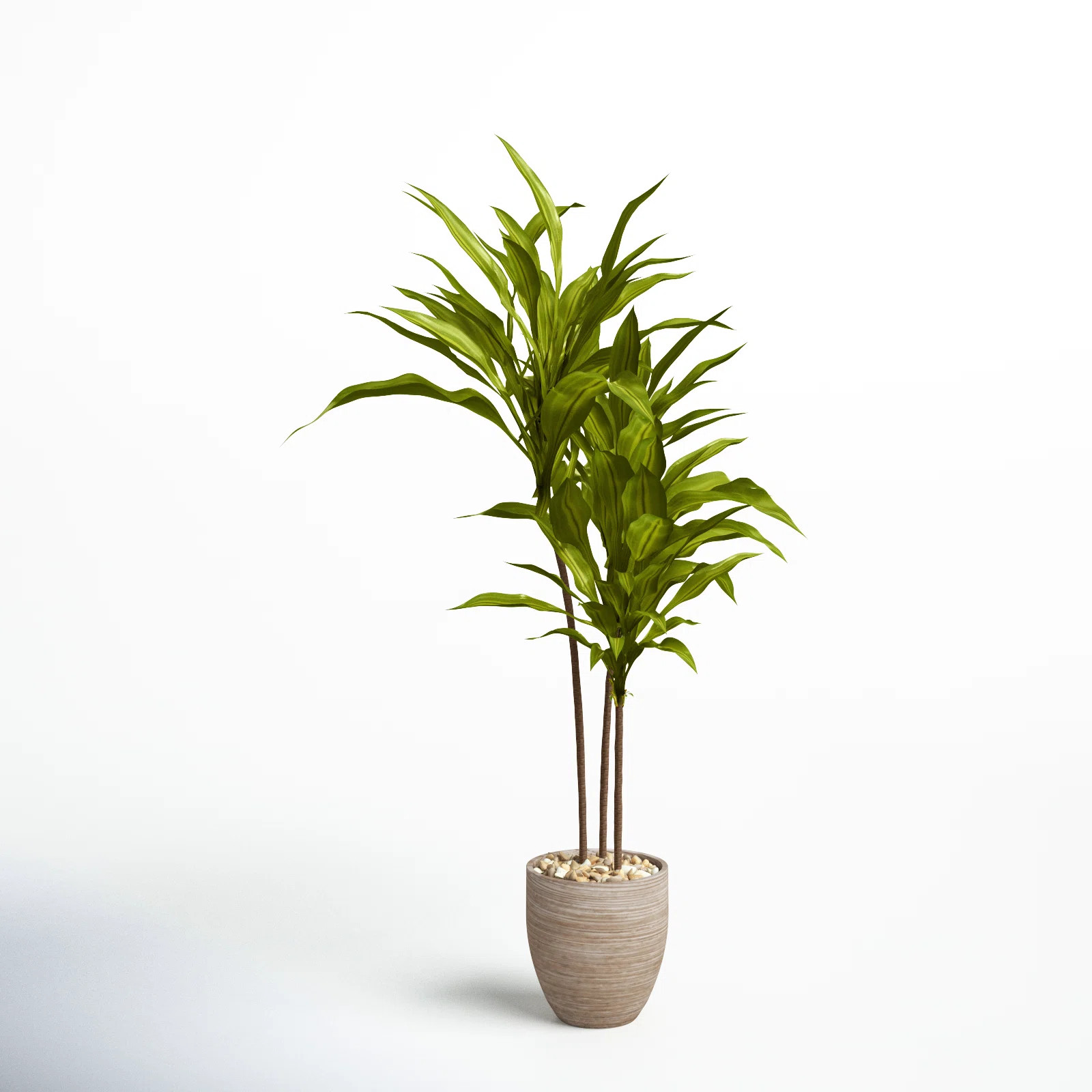 68'' Faux Dracaena Tree in Ceramic Planter | Joss & Main