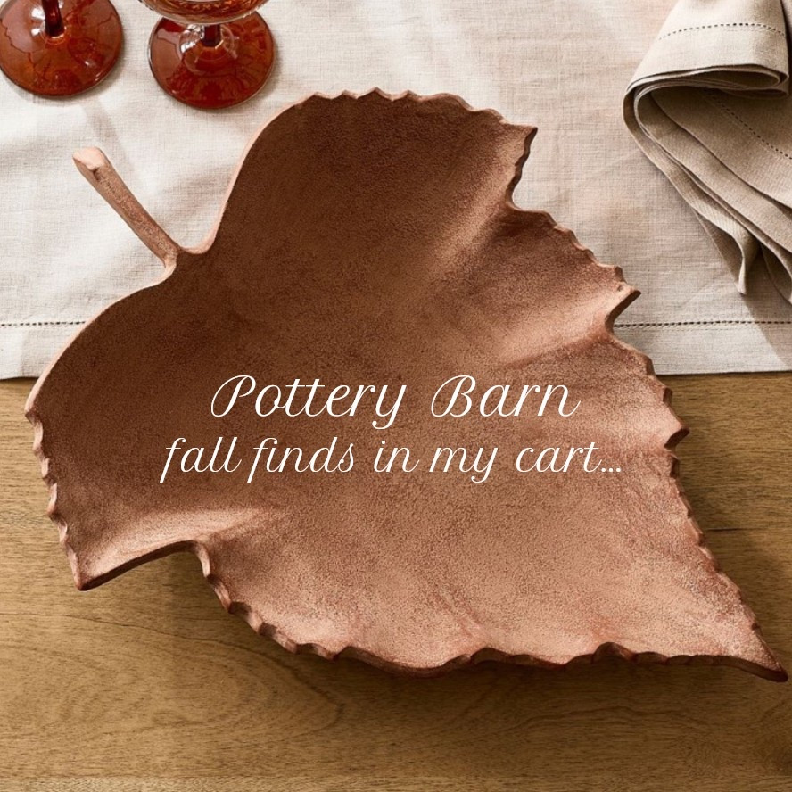 Pottery barn fall finds in my cart…

#falldecor #homedecor #autumn

#LTKHome #LTKSeasonal #LTKmomlife
