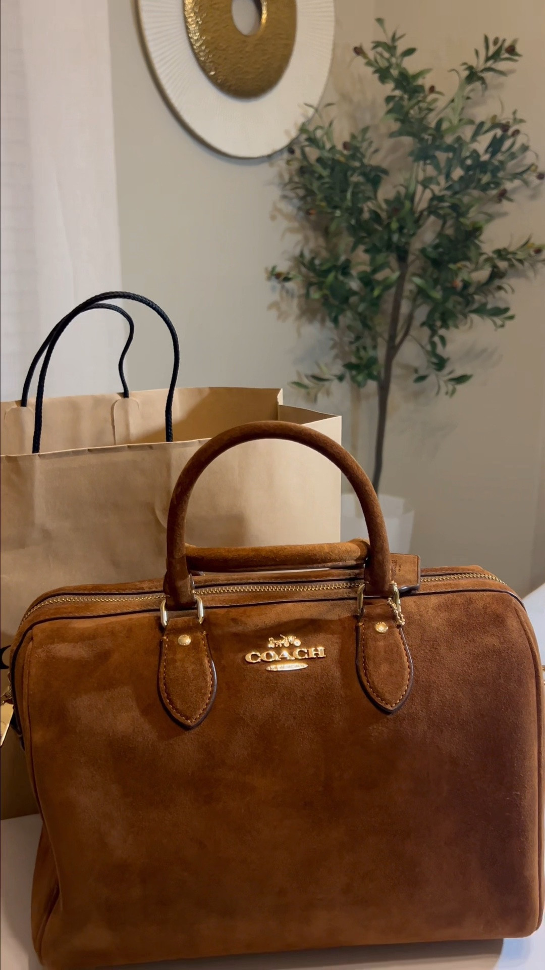Meet my new Coach Rowan Large Satchel Bag!! 👜

#LTKSeasonal #LTKootd #LTKOver40