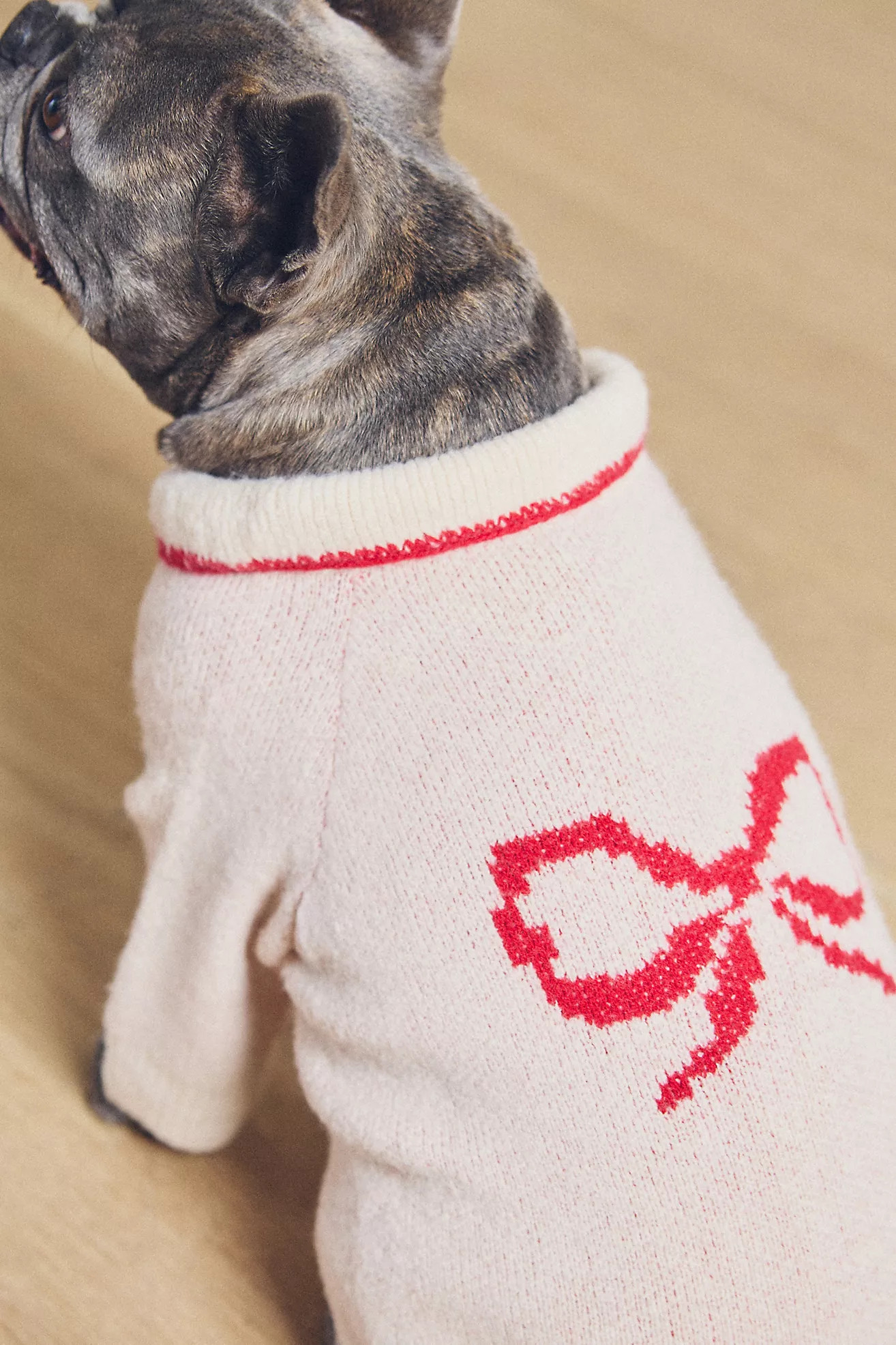 FURB All Wrapped Up Pet Sweater | Anthropologie (US)