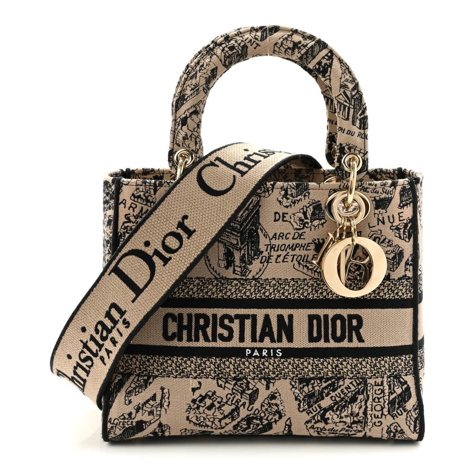 Christian Dior Canvas Embroidered Medium Plan de Paris Lady D-Lite Beige Black 1921576 | FASHIONPHILE (US)