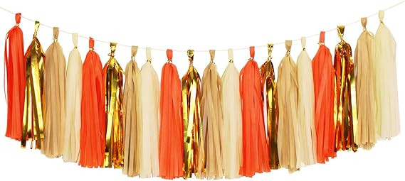 Amazon.com: Aonor Tassel Garland, Tissue Paper Tassels Banner for Wedding, Baby Shower, First Bir... | Amazon (US)