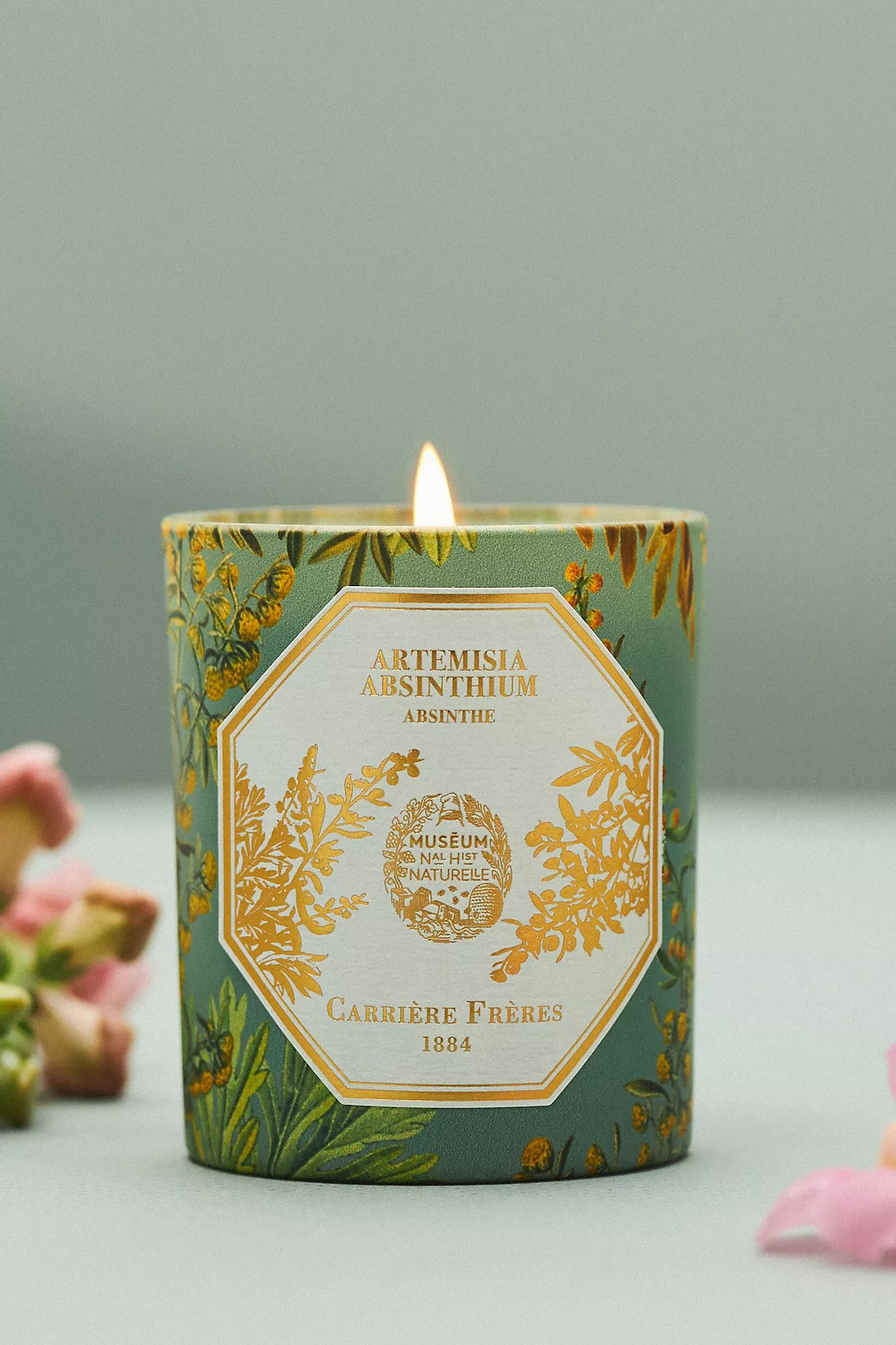 Carrière Frères Artemisia Absinthium Boxed Candle | Anthropologie (US)