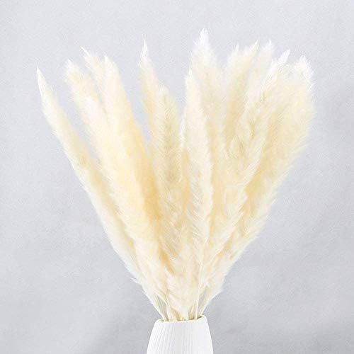 HUAESIN Dried Pampas Grass Plumes 20pcs 17 Inch Tall Natural Dried Plants Artificial Faux Reed Fl... | Amazon (US)