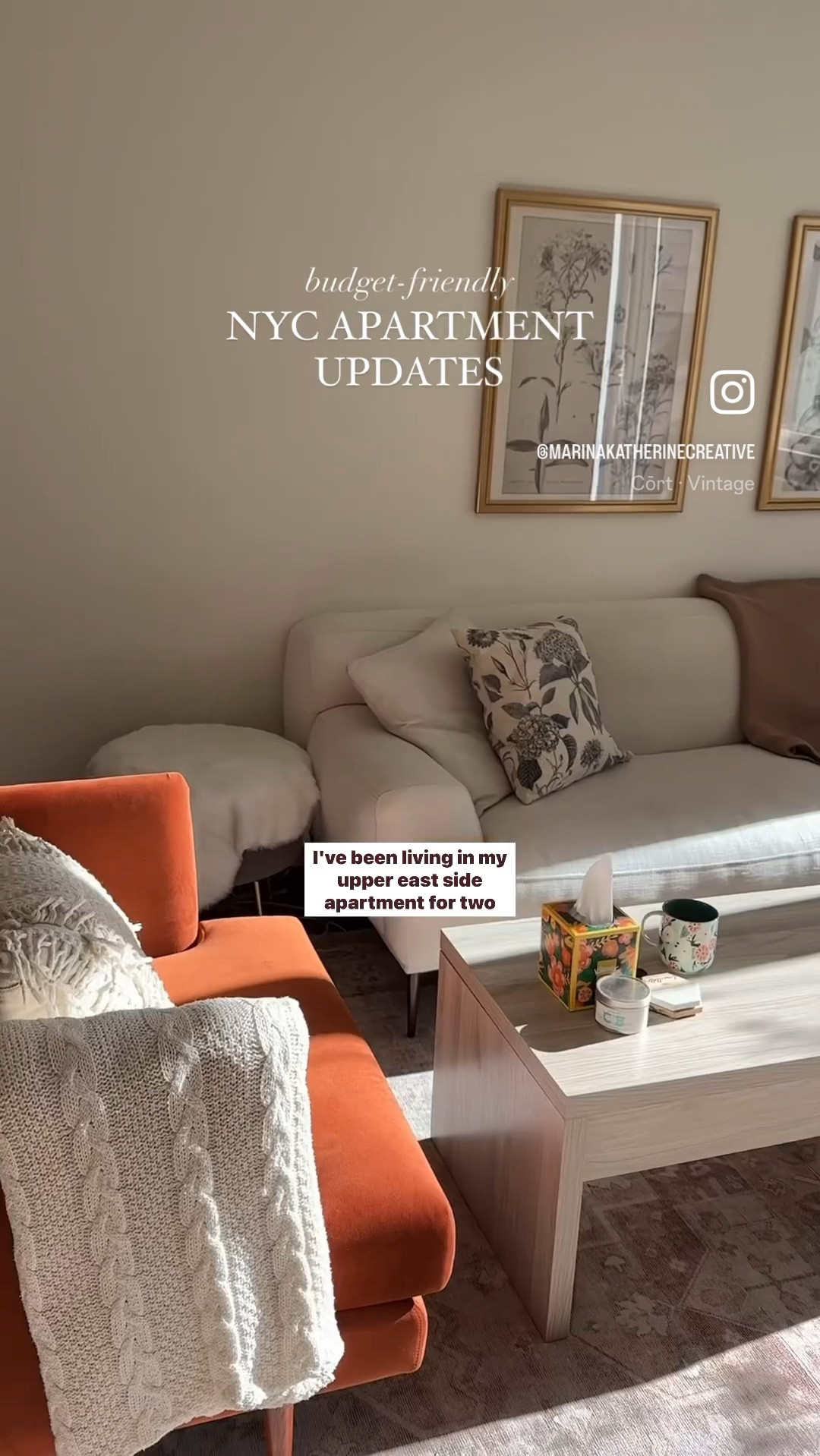 Nyc apt finds#LTKhome #LTKfindsunder100

#LTKVideo