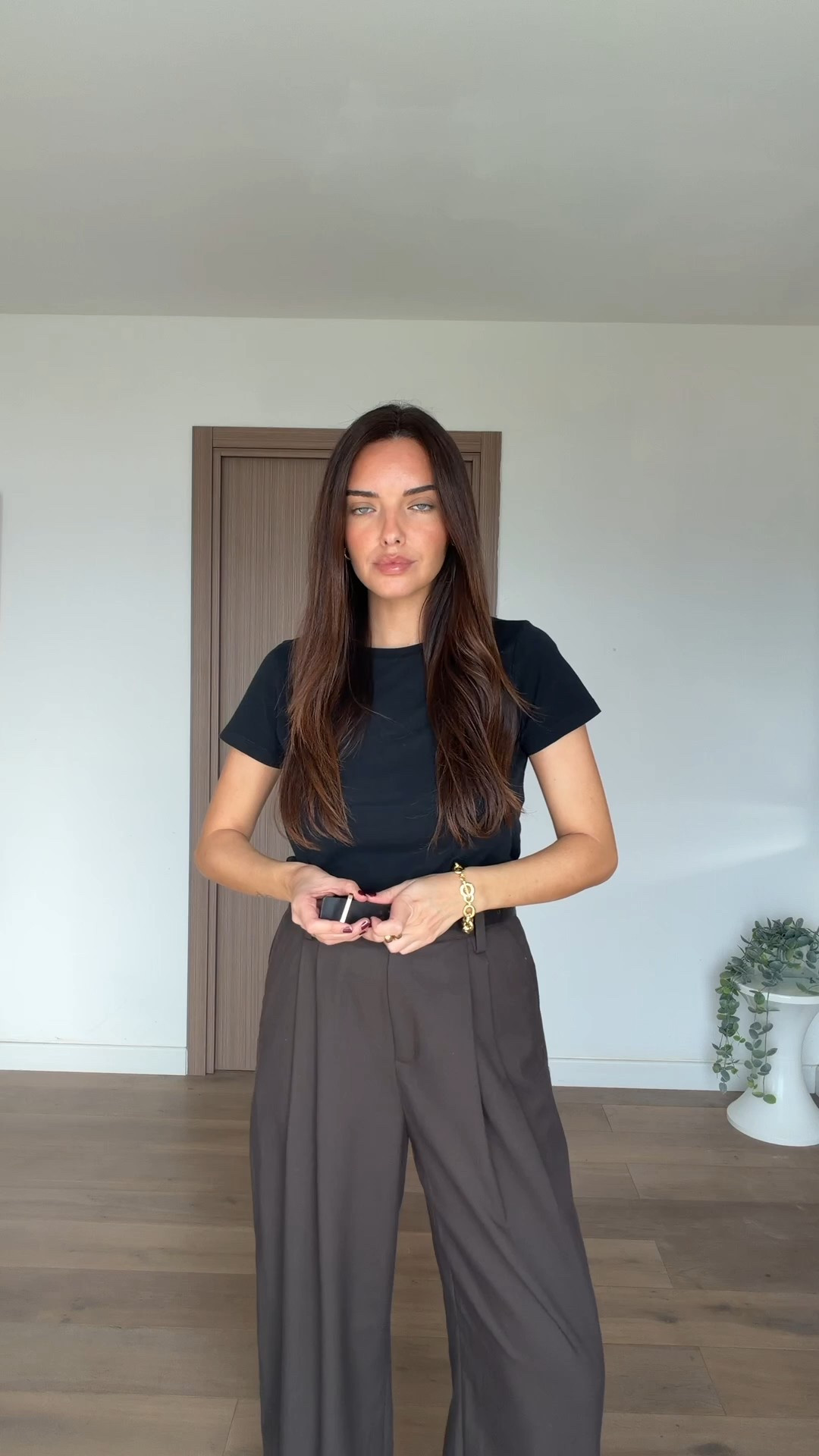 Dissh try-on haul