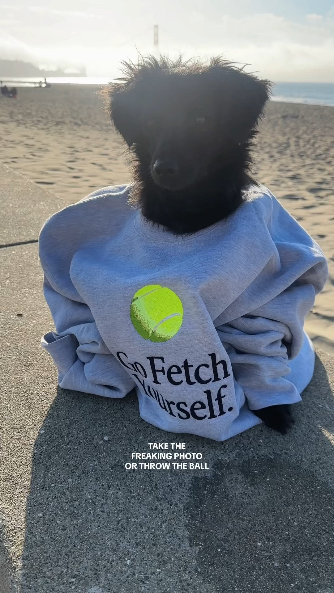 Go Fetch Yourself Sweatshirt 