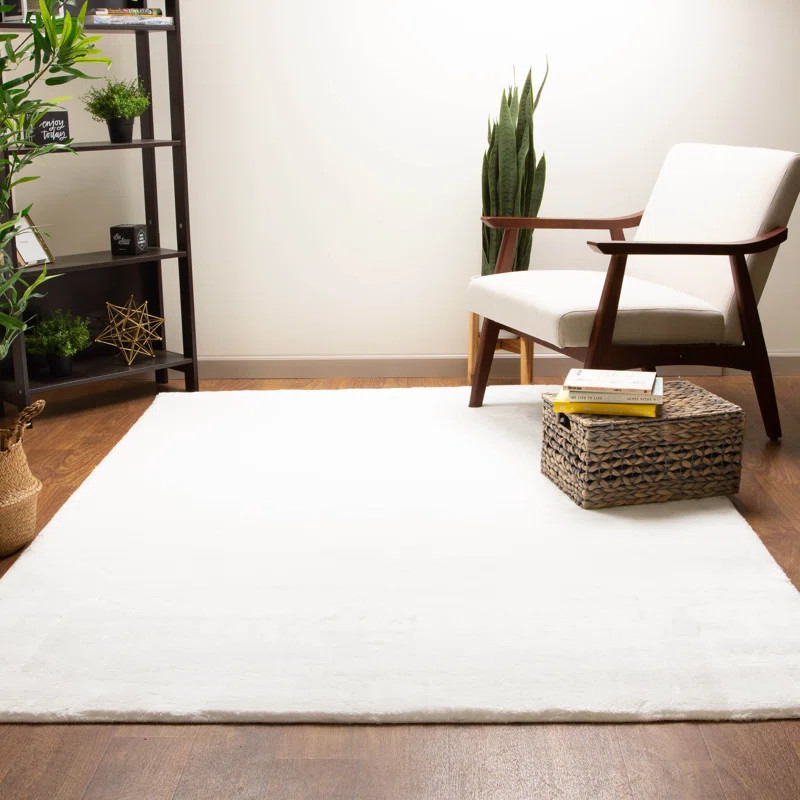 Solera Shag Snow White Area Rug | Wayfair North America