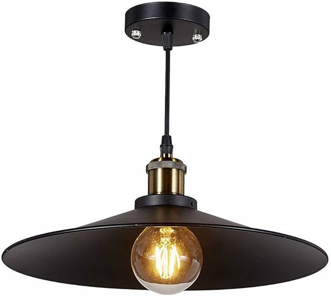 New Legend 1-Light Antique Black Metal Shade Hanging Pendant Ceiling Lamp Fixture | Amazon (US)