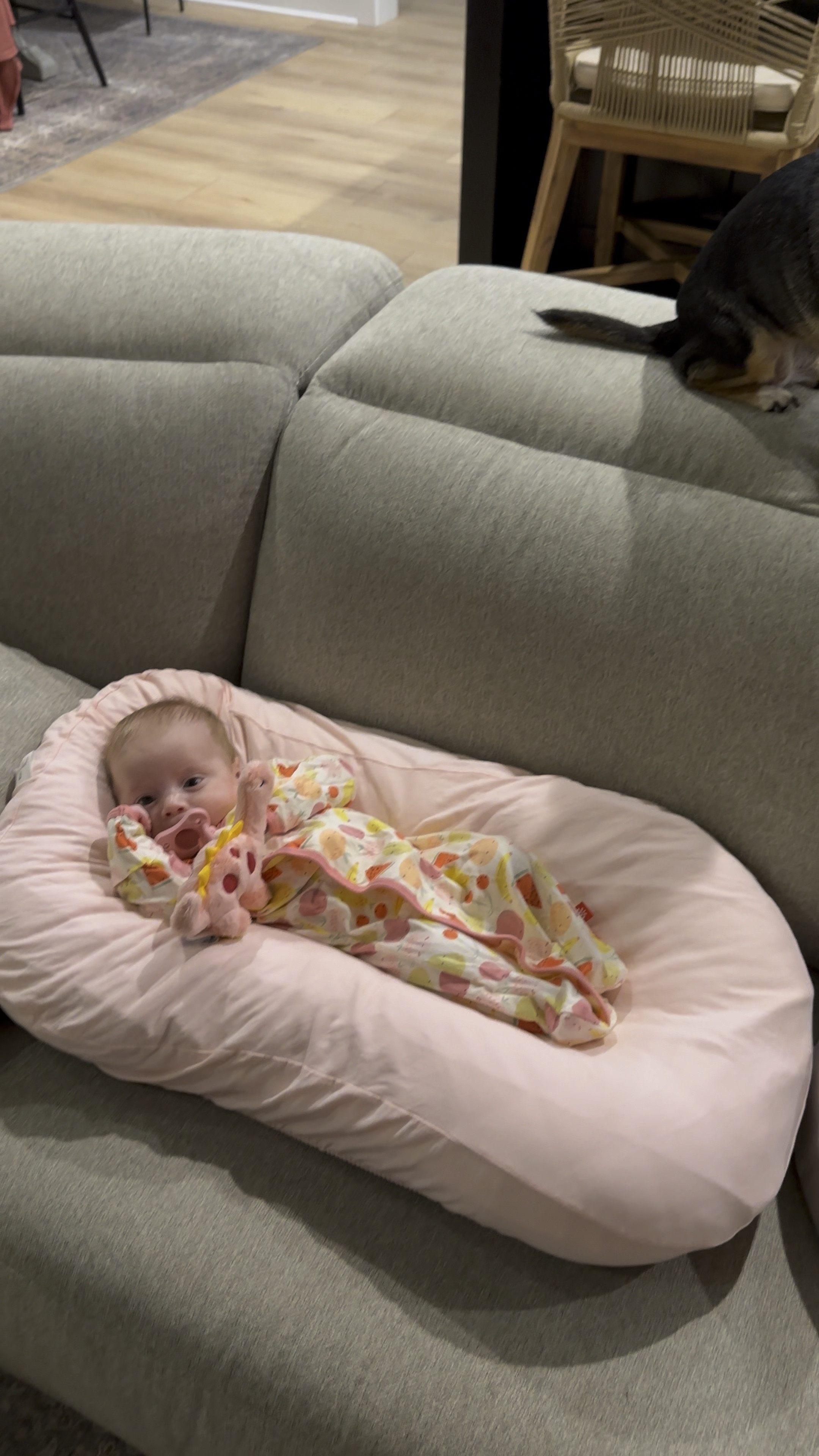 Snuggle me baby lounger! Worth every penny. It cradles her so well. Cover it with a water proof bassinet sheet and another sheet to protect it from accidents. Baby gift idea. Baby gift guide. 

#LTKGiftGuide #LTKBaby #LTKCyberWeek