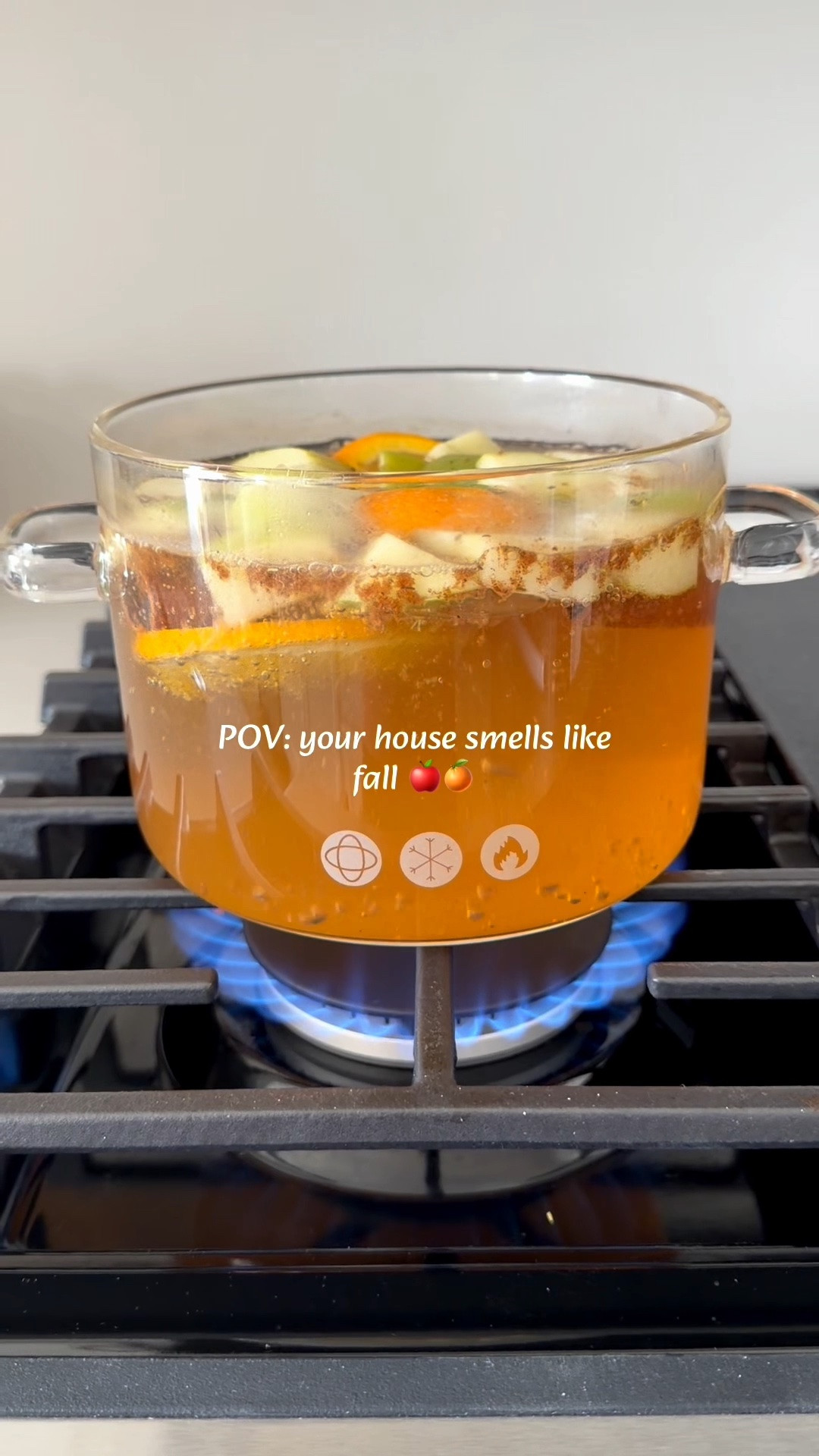 Simmer pot

#LTKSaleAlert #LTKSeasonal #LTKHome