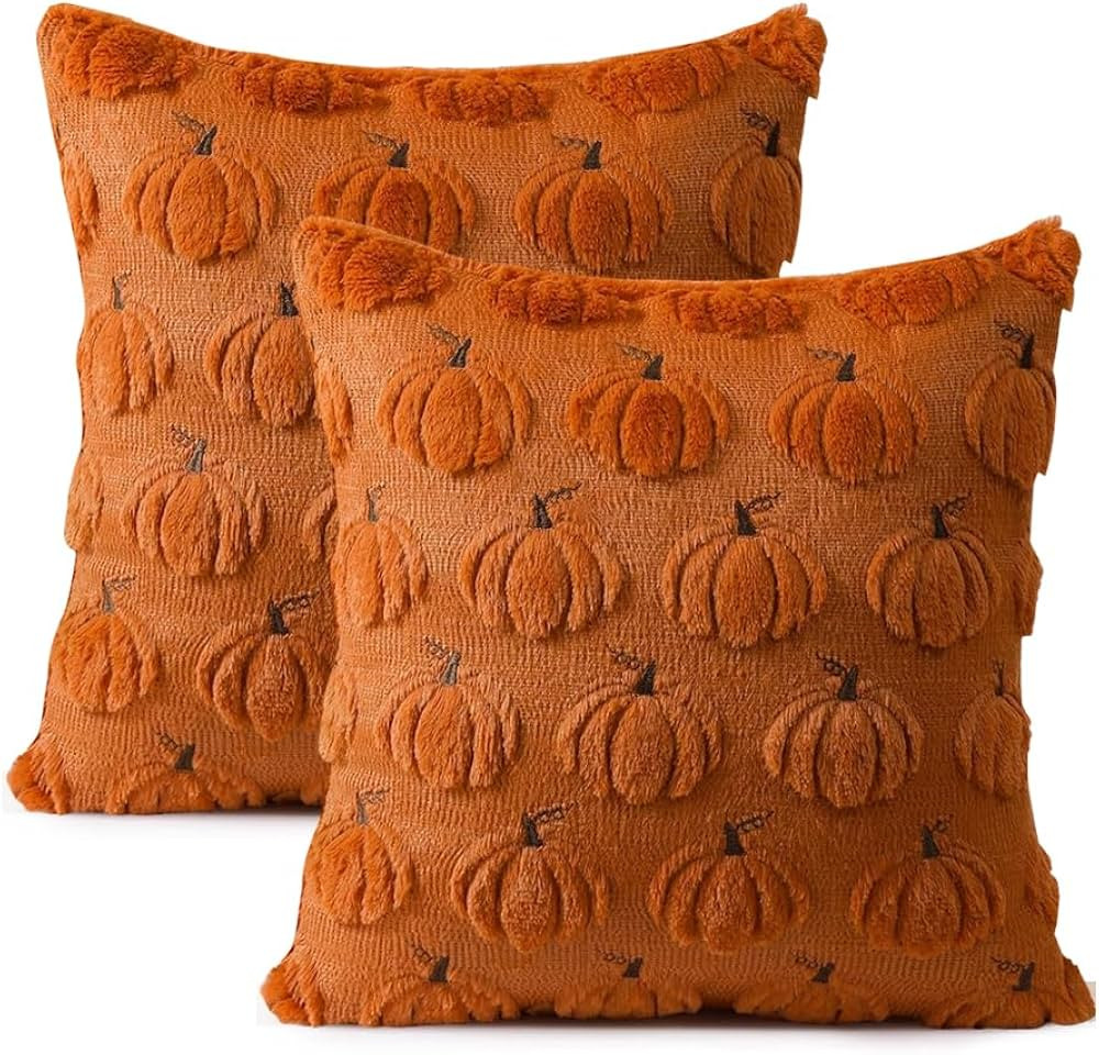 RABUSOFA Fall Pillow Covers 18x18 Set of 2 Pure Brown Pumpkin Soft Plush Faux Fur Autumn Decorati... | Amazon (US)