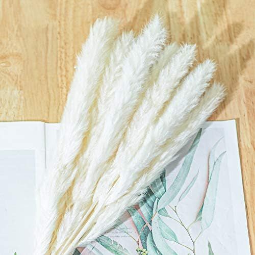 Yoken 60PCS Dried Pampas Grass, Natural Dry Pampas Grass Dried Reed Plumes for Wedding Decor, Flo... | Amazon (US)