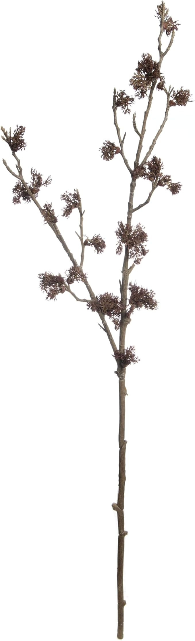Ashland 39" Brown Moss Branch Stem Fall Floral for Crafts and HomeDecor | Amazon (US)