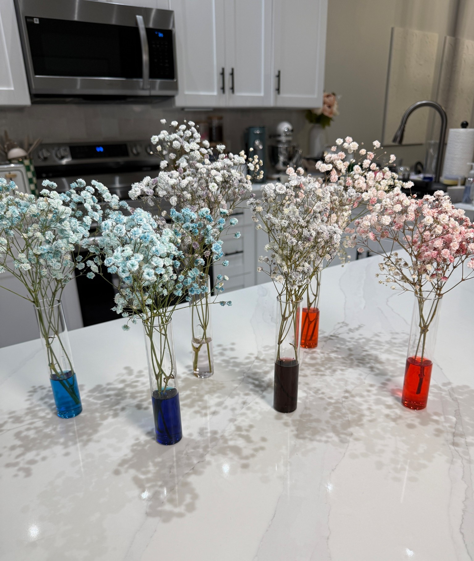 Color changing flowers for your Easter or spring party!

#easter #hosting #flowerarrangement #springdecor #easterdecor

#LTKSeasonal