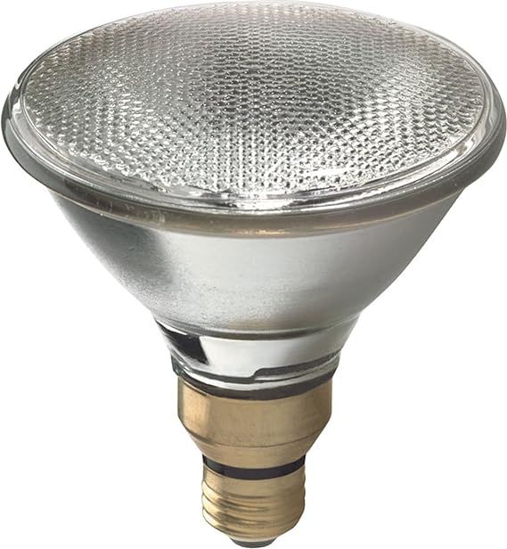 GE Lighting PAR38 Warm White Halogen Flood Light Bulb, Indoor and Outdoor, Dimmable Spotlight, En... | Amazon (US)